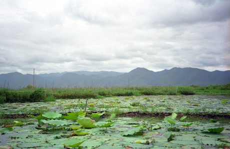 Photo 24