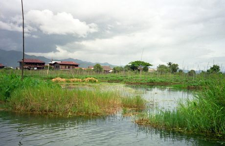 Photo 36