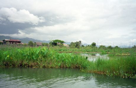Photo 39
