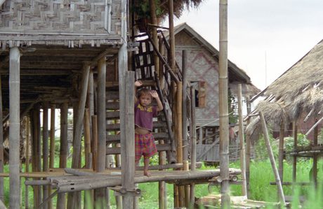 Photo 41