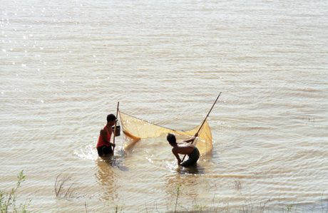 Photo 45