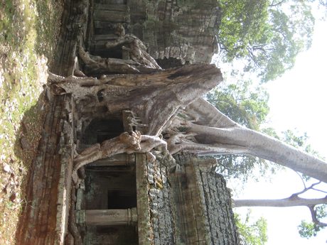 Photo 252