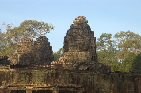 Photo 495