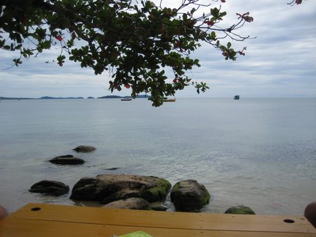 Photo 168