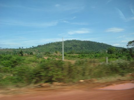 Photo 196