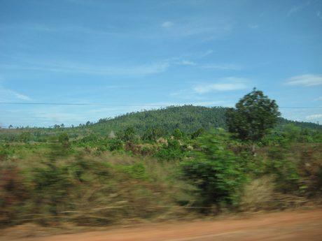 Photo 197