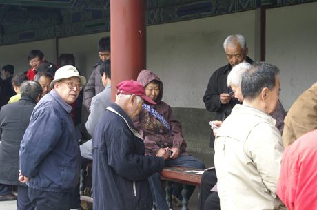 Photo 41