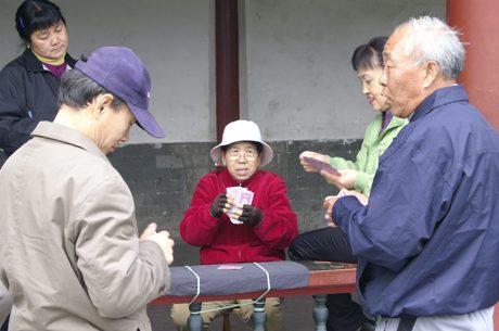 Photo 43