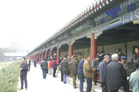 Photo 45