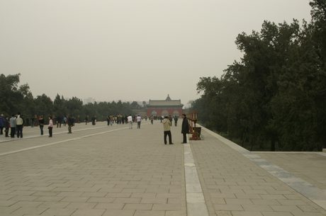Photo 50