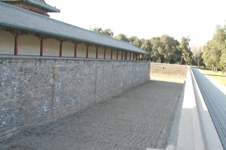 Photo 237