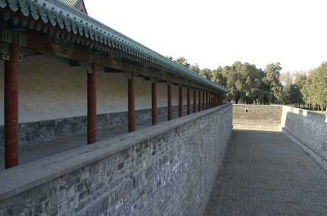 Photo 243