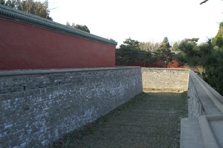 Photo 253