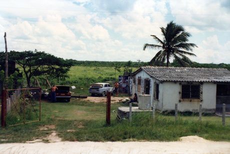 Photo 31