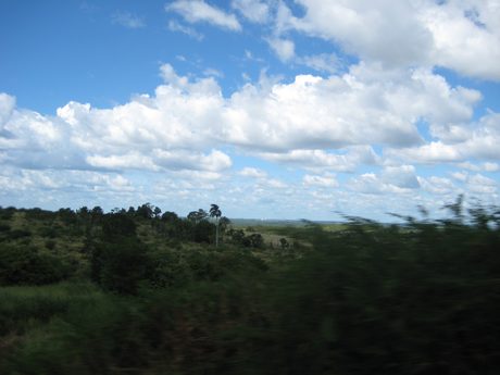 Photo 235
