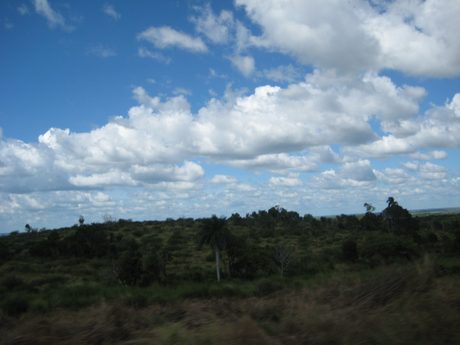 Photo 236
