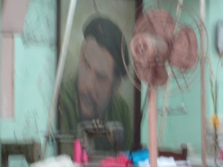 Photo 196