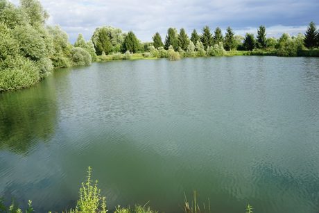 Photo 41