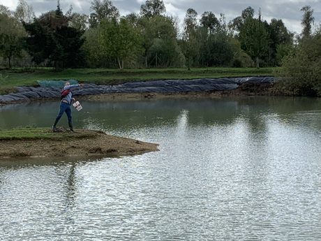 Photo 15