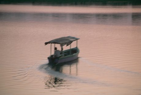 Photo 44