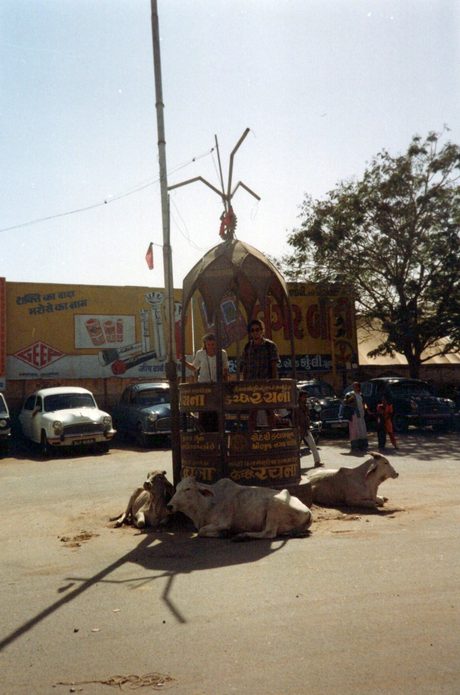 Photo 19
