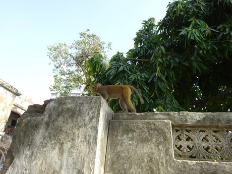 Photo 410