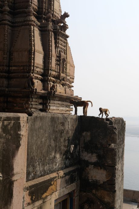 Photo 884