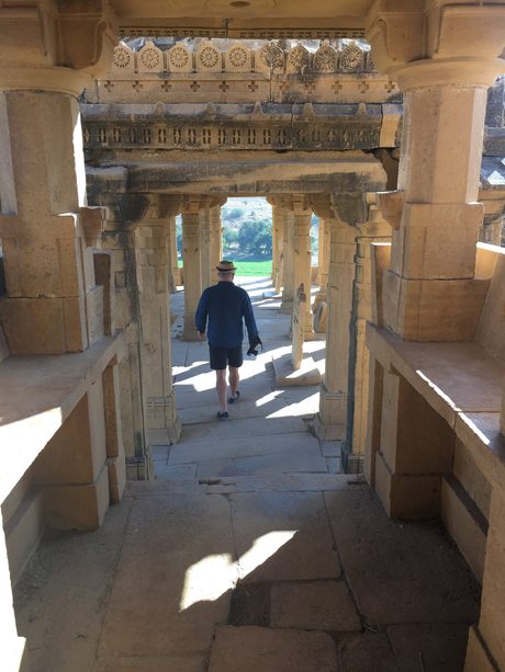 Photo 981
