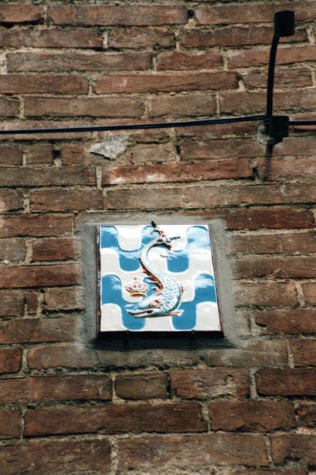 Photo 38