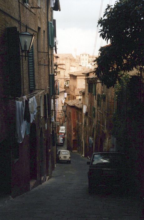 Photo 43
