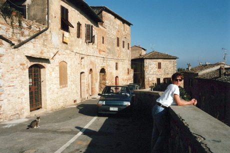 Photo 50