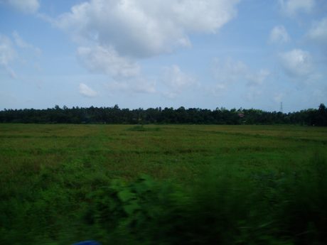Photo 34