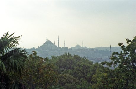 Photo 50