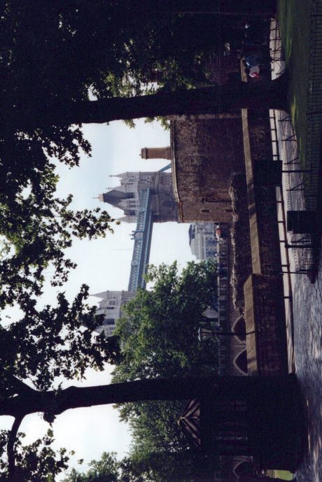 Photo 33