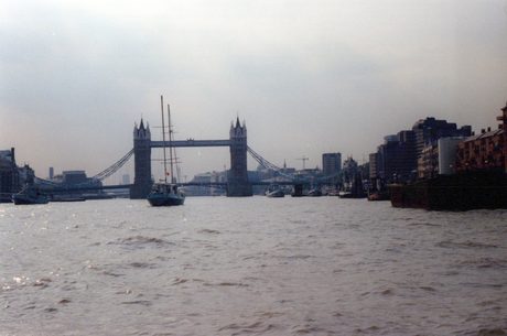 Photo 199